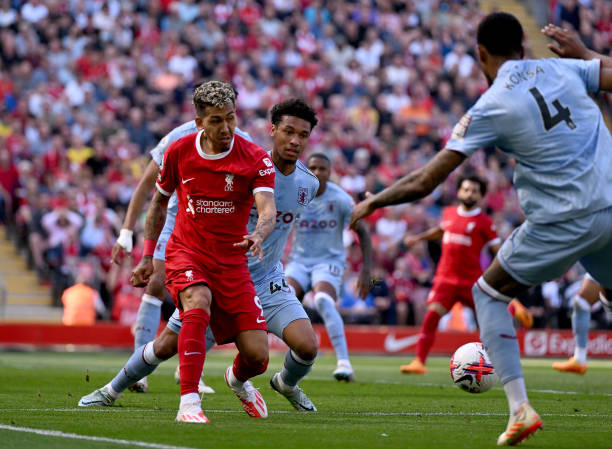 跨国投资者 跨国投资者