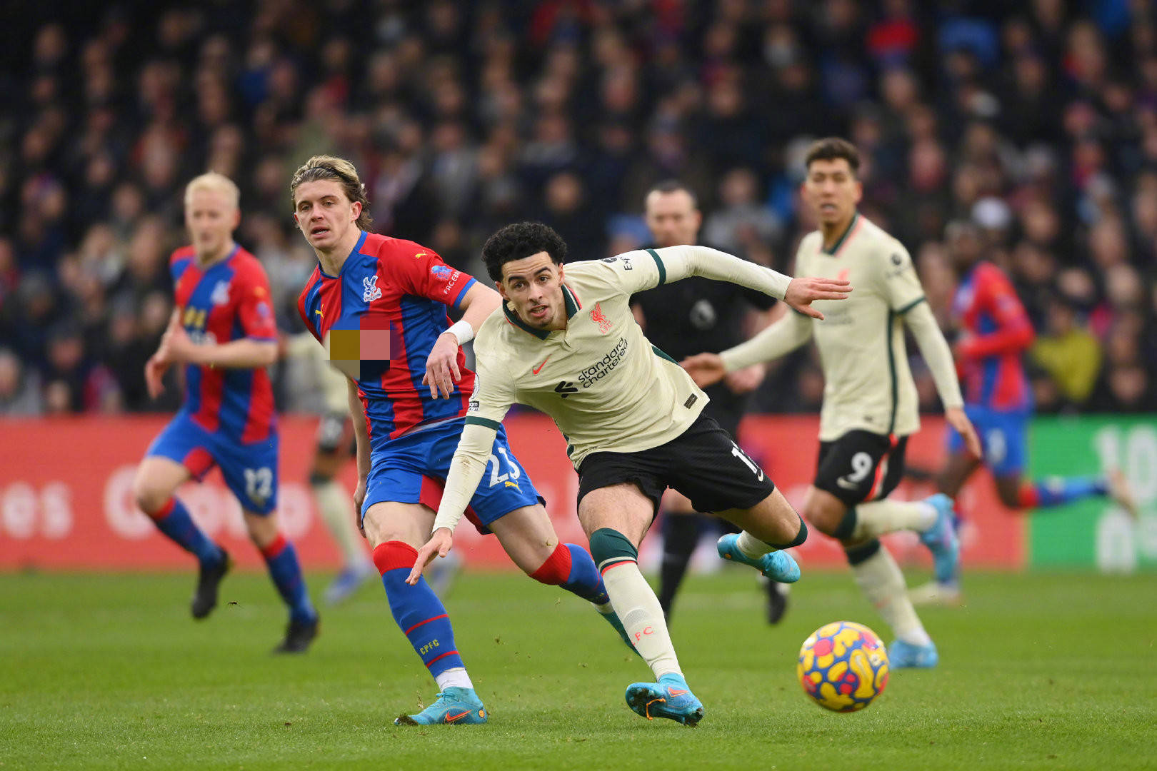 球爱好者对 球爱好者对