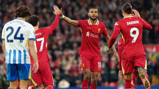 岁的年轻后 岁的年轻后