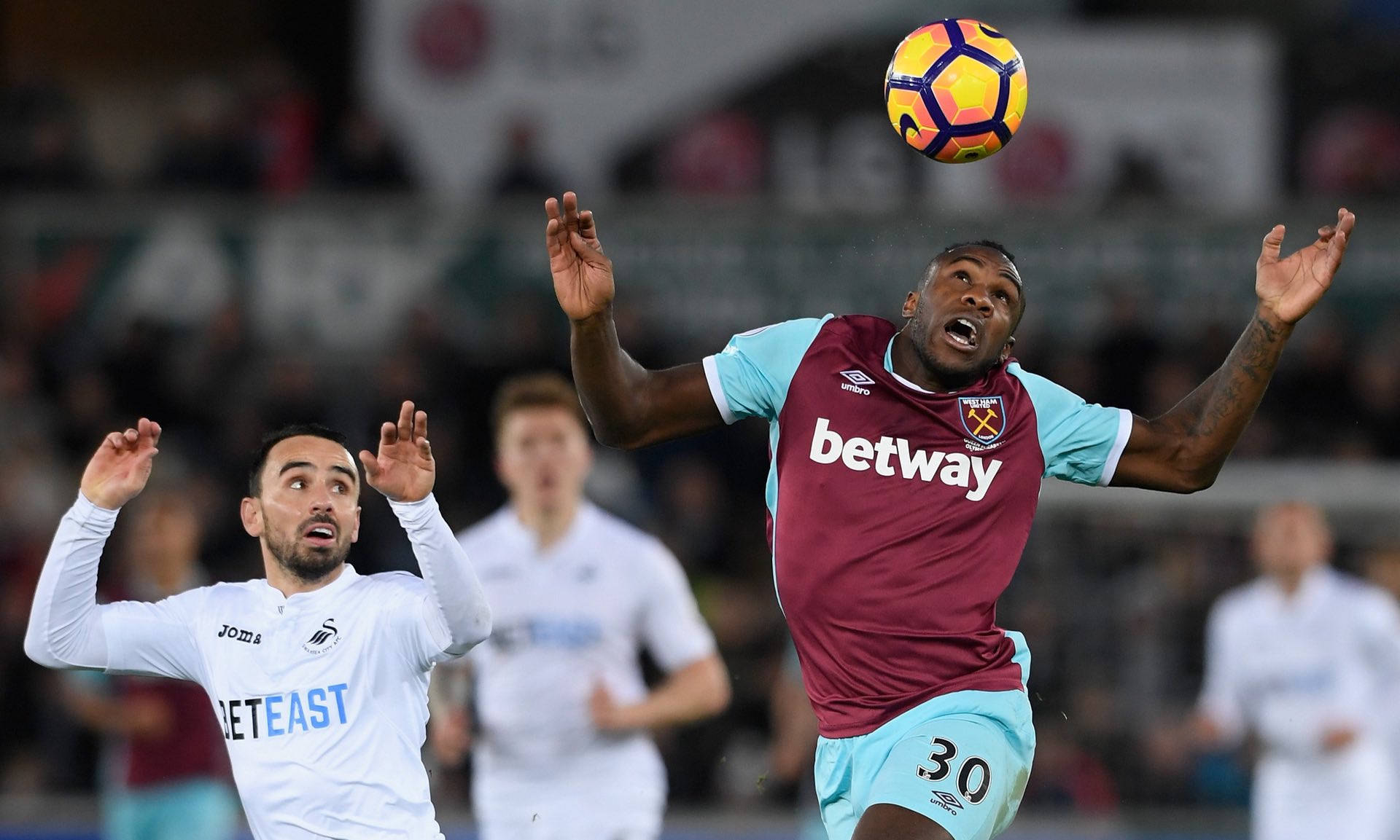 无论是在抢 无论是在抢